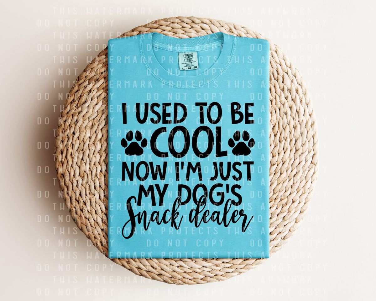 I Used to Be Cool Now I'm Just My Dog's Snack Dealer product image 1