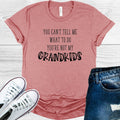 You Can't Tell Me What to Do You're Not My Grandkids product image 1